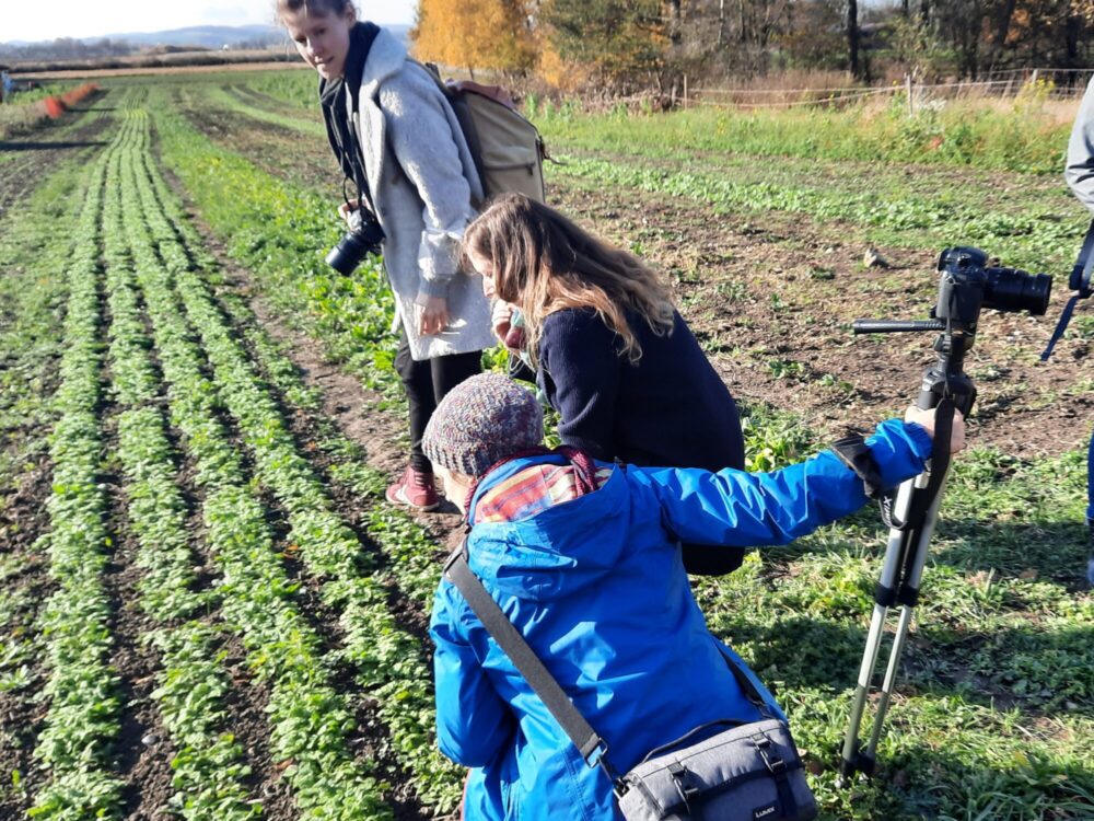 Drei Fotografinnen begutachten den Gemüseacker.