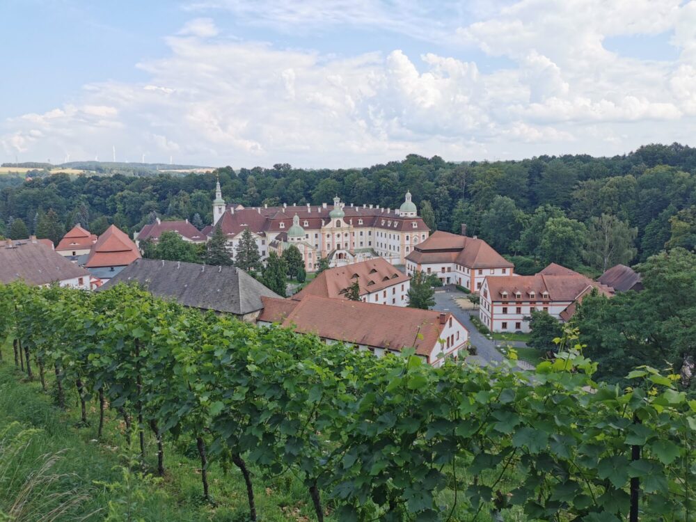 Blick auf das Internationale Begegnungszentrum St. Marienthal.